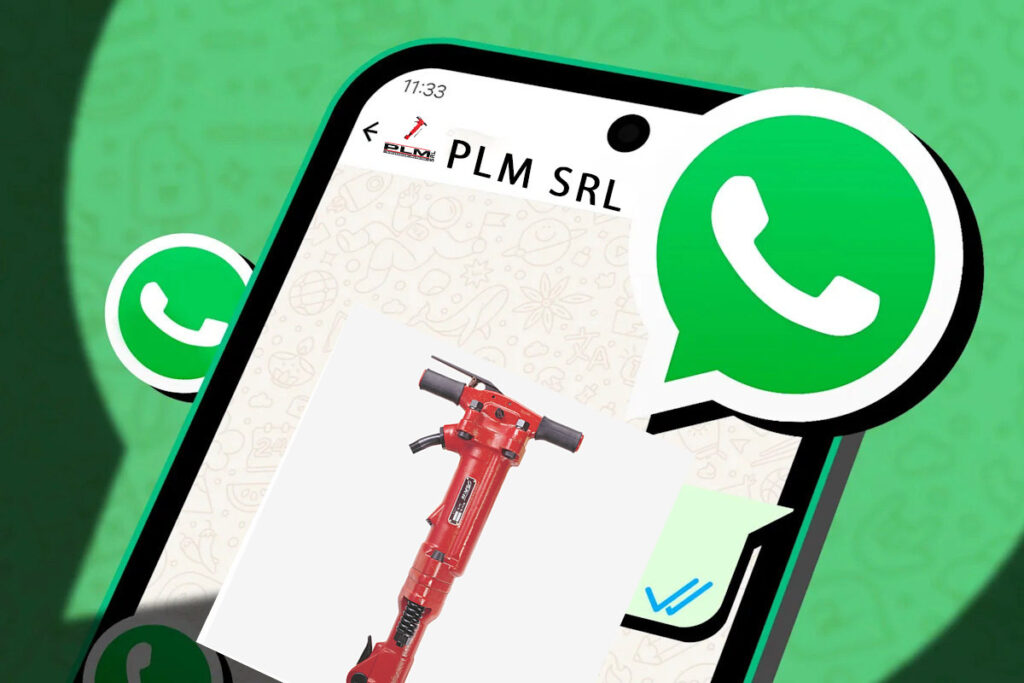 whastapp de plm srl santo domingo rd v2